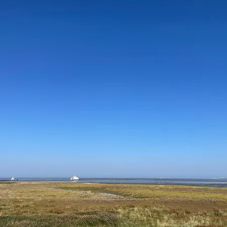 Am Deichland - Deichsicht Apartmán *